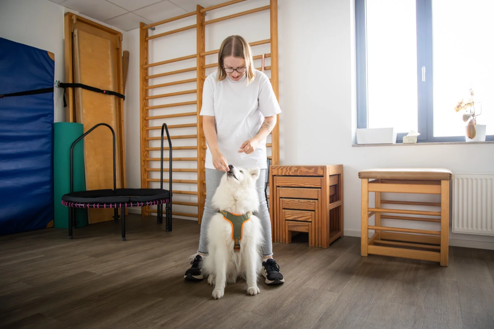 Therapiehund im Einsatz, tiergestützte Therapie gehört bei uns dazu